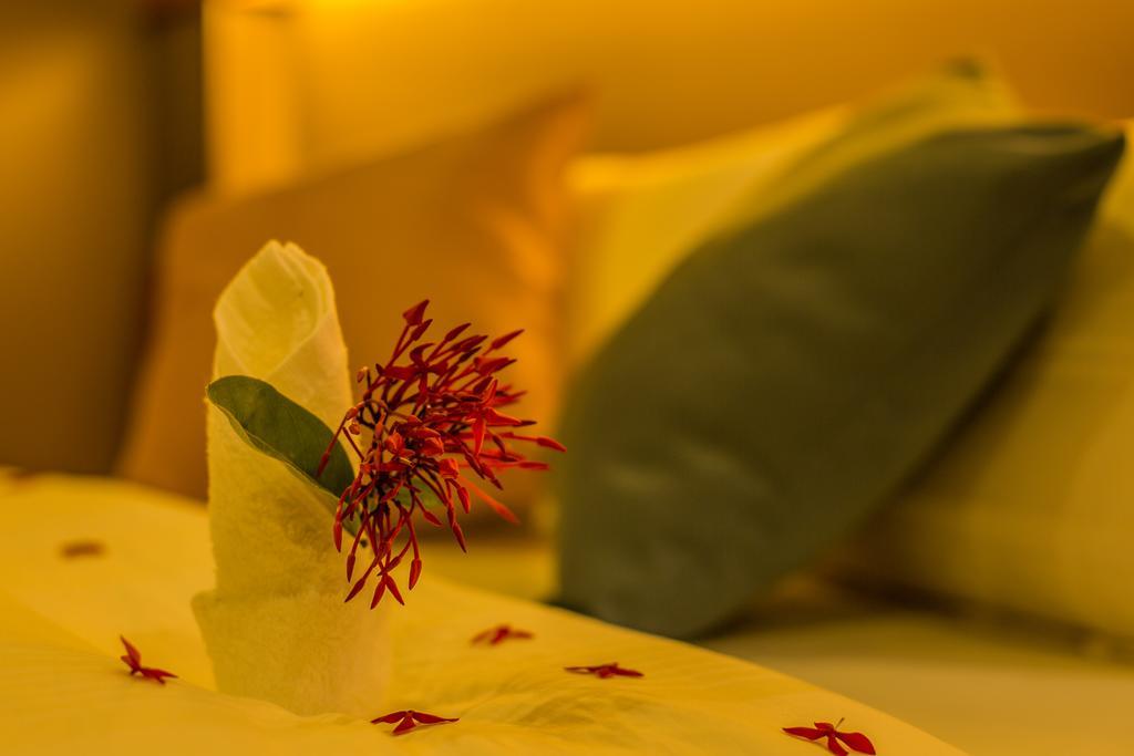 Kuredhi Beach Guest house 3*
